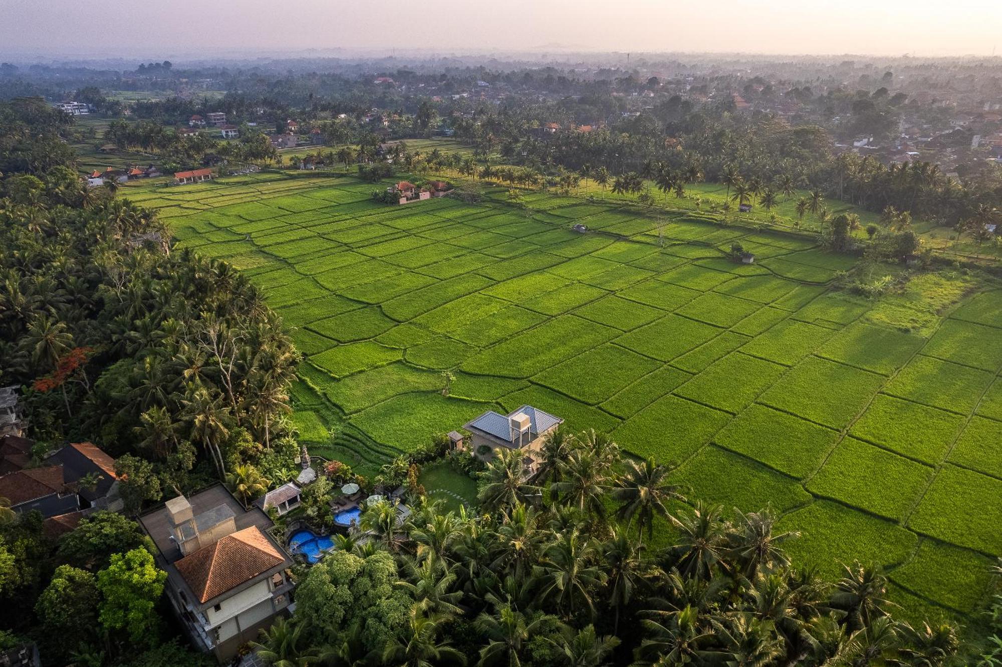 Gynandha Ubud Cottage מראה חיצוני תמונה