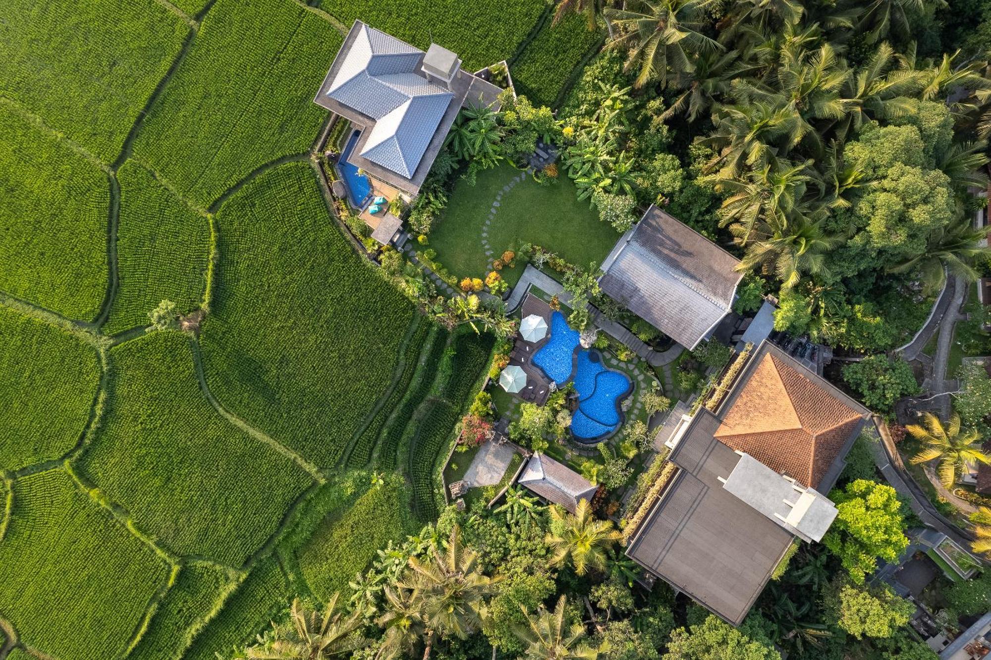 Gynandha Ubud Cottage מראה חיצוני תמונה